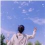 柳寄琴