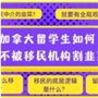 张映寒