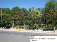 小康小区
