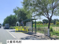 大紫草坞村