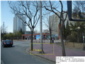 北京第二外国语学院