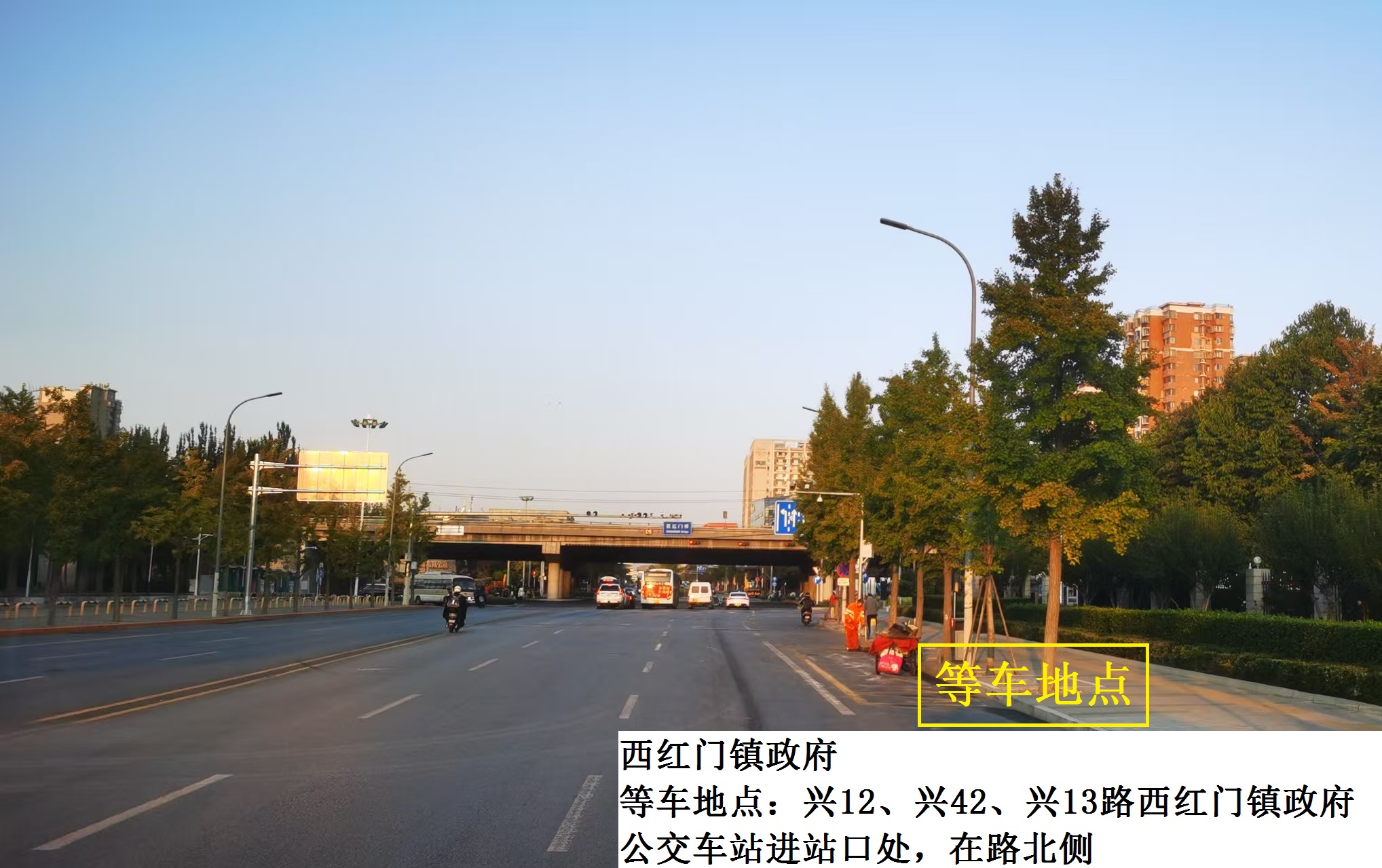 西红门镇政府