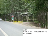 大苑村
