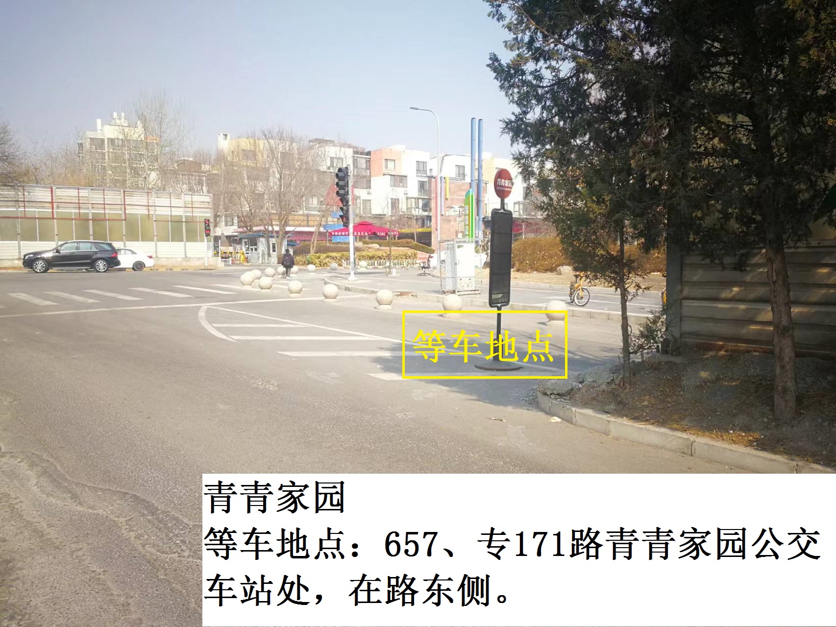 青青家园
