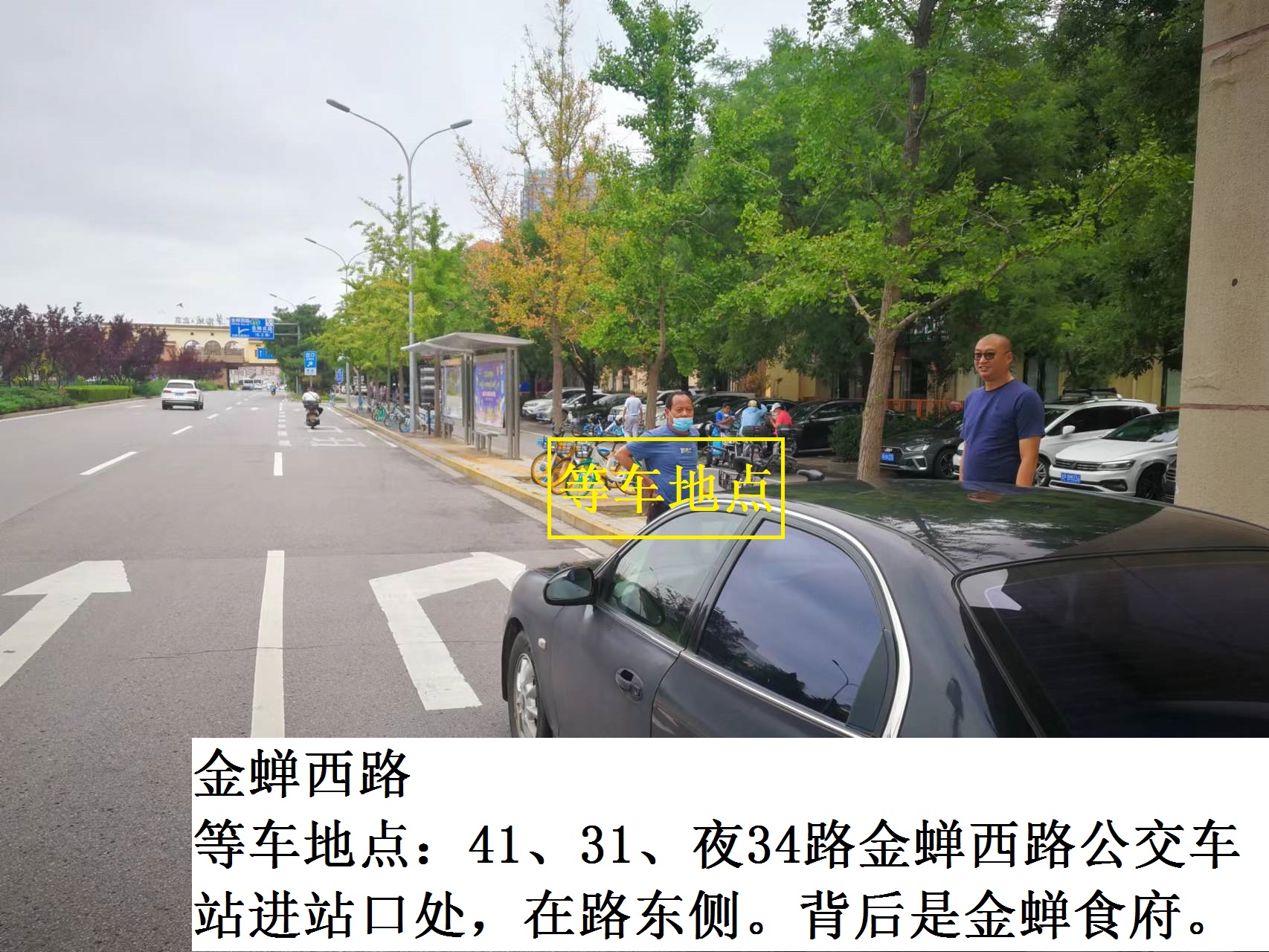 金蝉西路