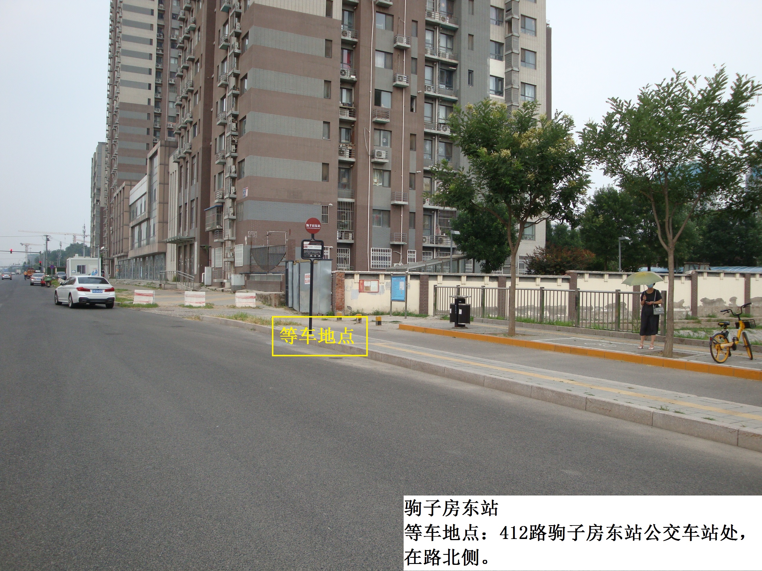 驹子房东