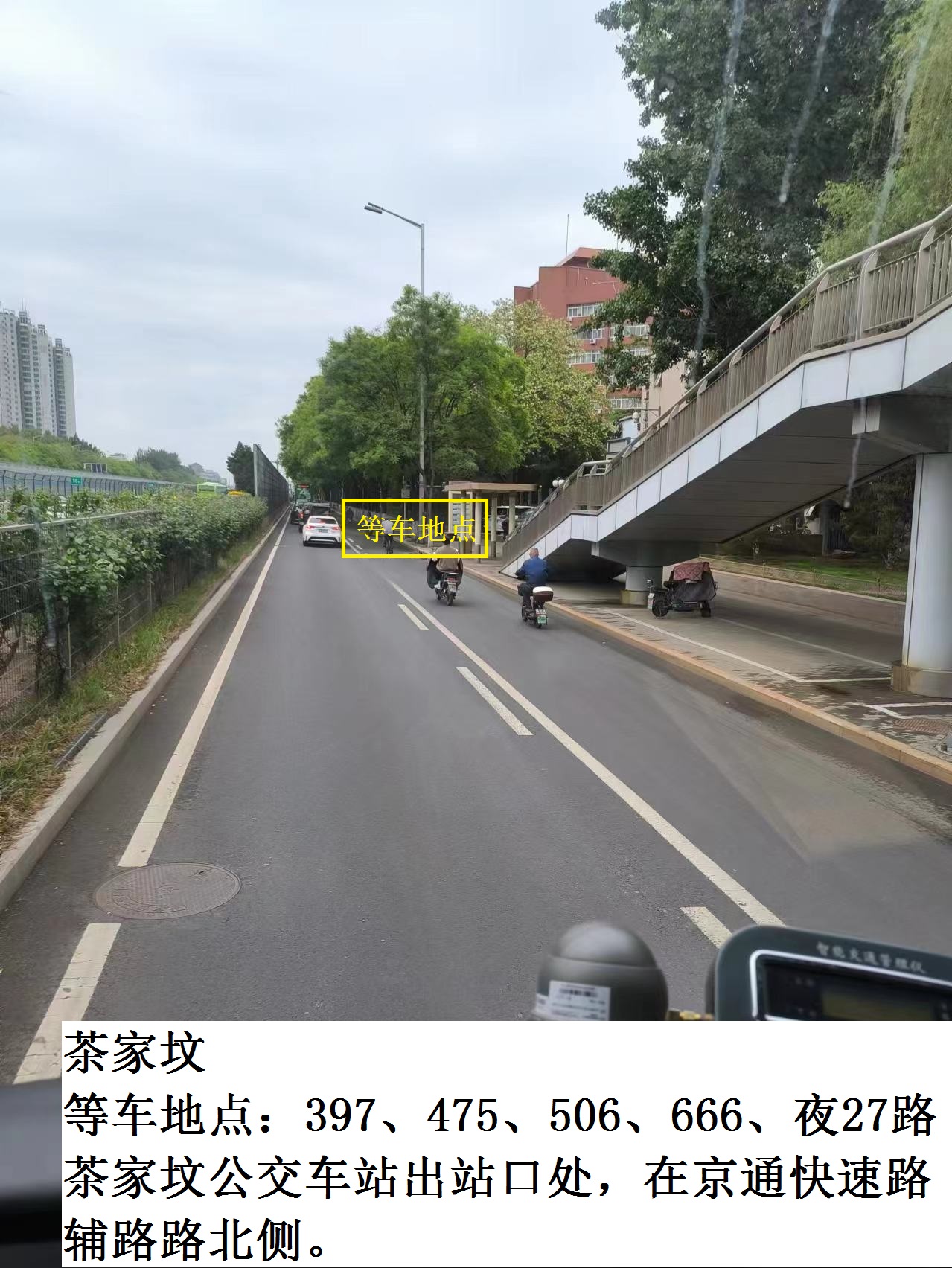 茶家坟