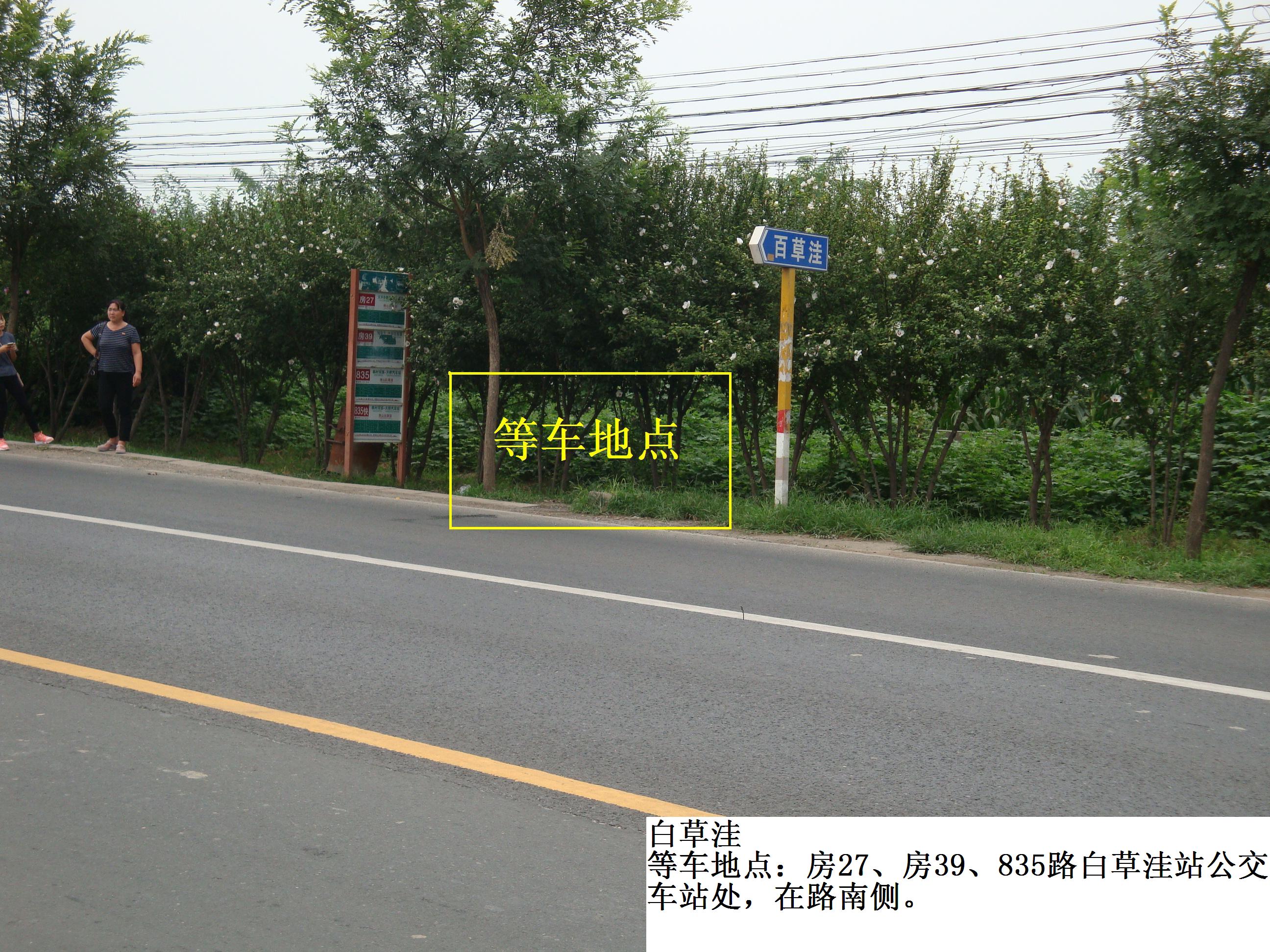 白草洼