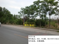 辛开口东