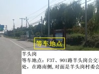 羊头岗